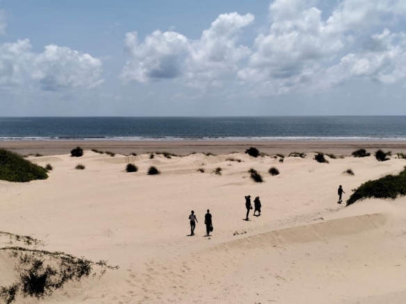 Prime 12-acre beachfront property for sale in Ngomeni. Ideal for resorts, holiday homes, or investment. Perfect sandy beach, ocean views, and massive potential.