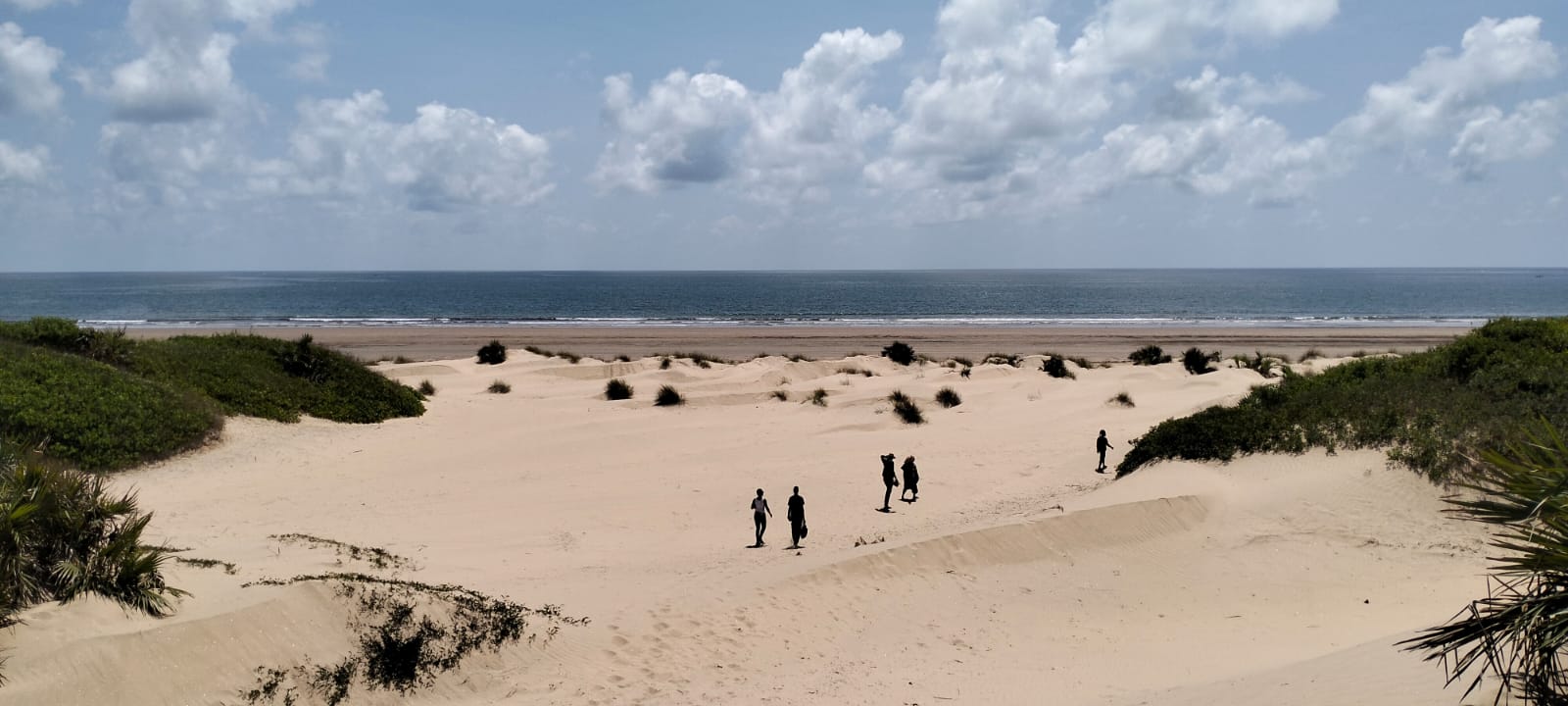 Prime 12-acre beachfront property for sale in Ngomeni. Ideal for resorts, holiday homes, or investment. Perfect sandy beach, ocean views, and massive potential.