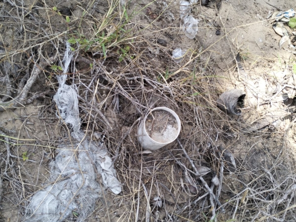 Prime 12-acre beachfront property for sale in Ngomeni. Ideal for resorts, holiday homes, or investment. Perfect sandy beach, ocean views, and massive potential.