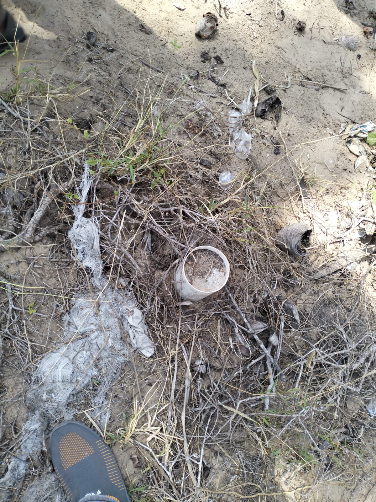 Prime 12-acre beachfront property for sale in Ngomeni. Ideal for resorts, holiday homes, or investment. Perfect sandy beach, ocean views, and massive potential.