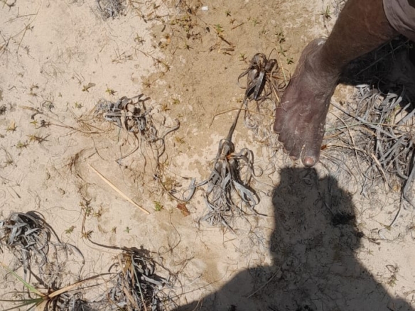 2-acre beachfront land for sale on Pate Island, Lamu—ideal for villas, eco-resorts, or investment. Premium oceanfront