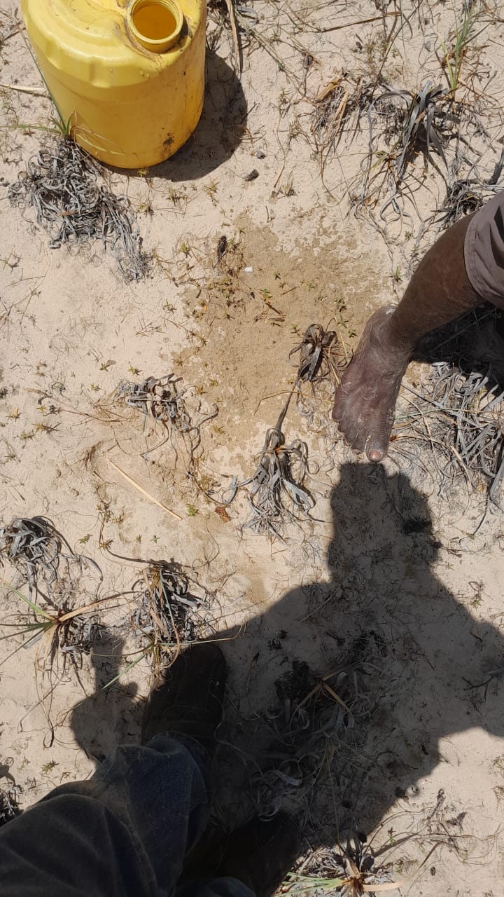 2-acre beachfront land for sale on Pate Island, Lamu—ideal for villas, eco-resorts, or investment. Premium oceanfront