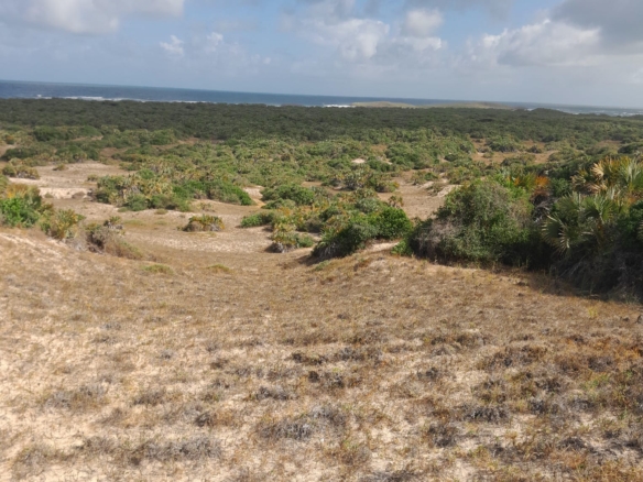 2-acre beachfront land for sale on Pate Island, Lamu—ideal for villas, eco-resorts, or investment. Premium oceanfront property in a peaceful, untouched Kenyan coastal destination.