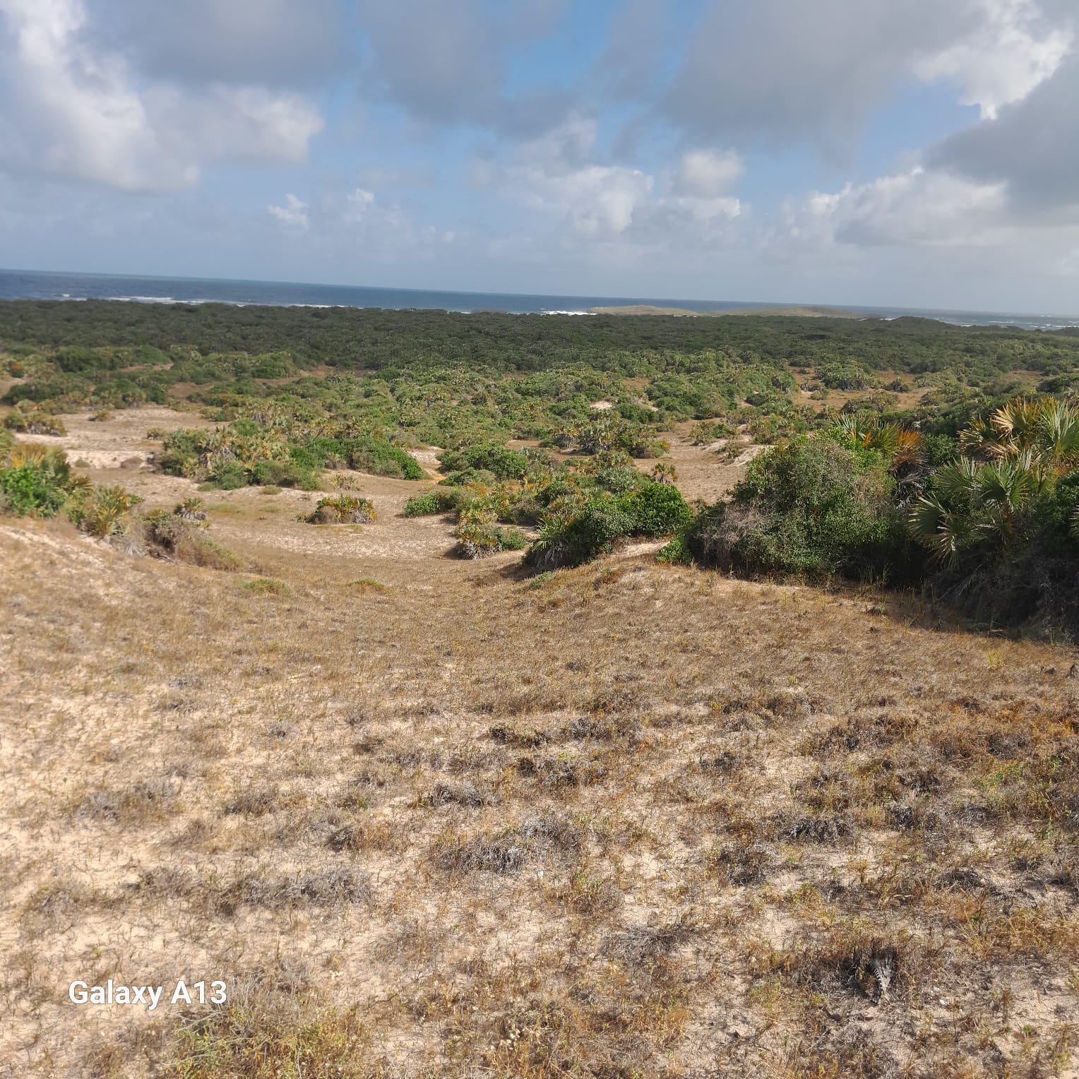 2-acre beachfront land for sale on Pate Island, Lamu—ideal for villas, eco-resorts, or investment. Premium oceanfront property in a peaceful, untouched Kenyan coastal destination.