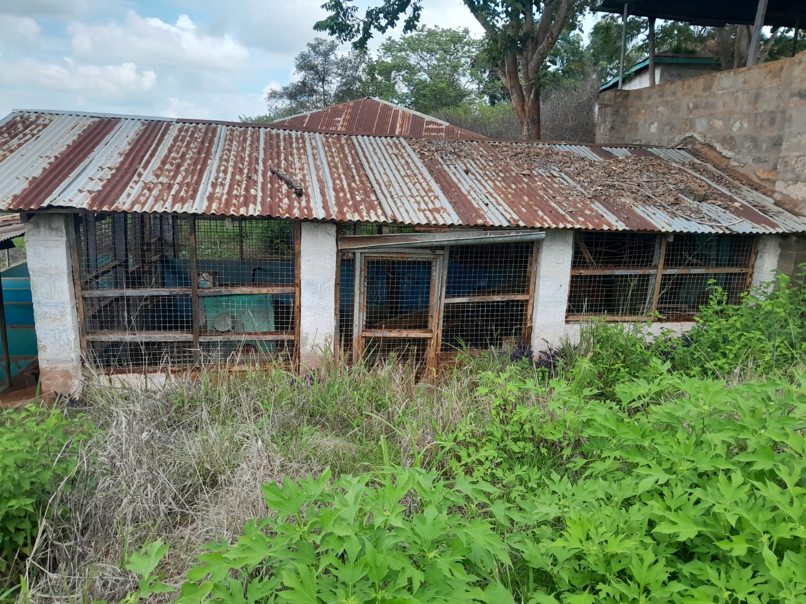 Prime 604-acre agricultural land for sale in Makuyu Murang’a with red soil, dams, coffee factory, and direct tarmac access.