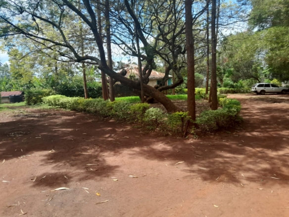 Prime 604-acre agricultural land for sale in Makuyu Murang’a with red soil, dams, coffee factory, and direct tarmac access.