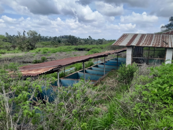 Prime 604-acre agricultural land for sale in Makuyu Murang’a with red soil, dams, coffee factory, and direct tarmac access.