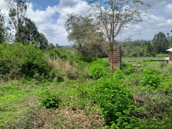 Prime 604-acre agricultural land for sale in Makuyu Murang’a with red soil, dams, coffee factory, and direct tarmac access.