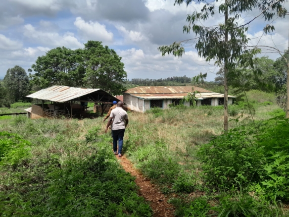 Prime 604-acre agricultural land for sale in Makuyu Murang’a with red soil, dams, coffee factory, and direct tarmac access.