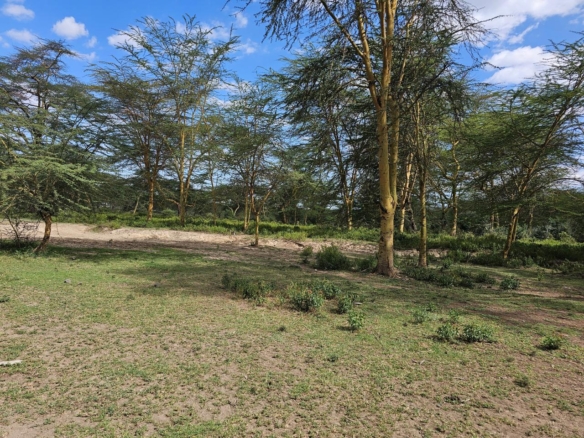 Prime 2-acre land near Lake Elementaita adjacent to Inka Gardens and developed cottages, ideal for lodge or eco-camp investment.