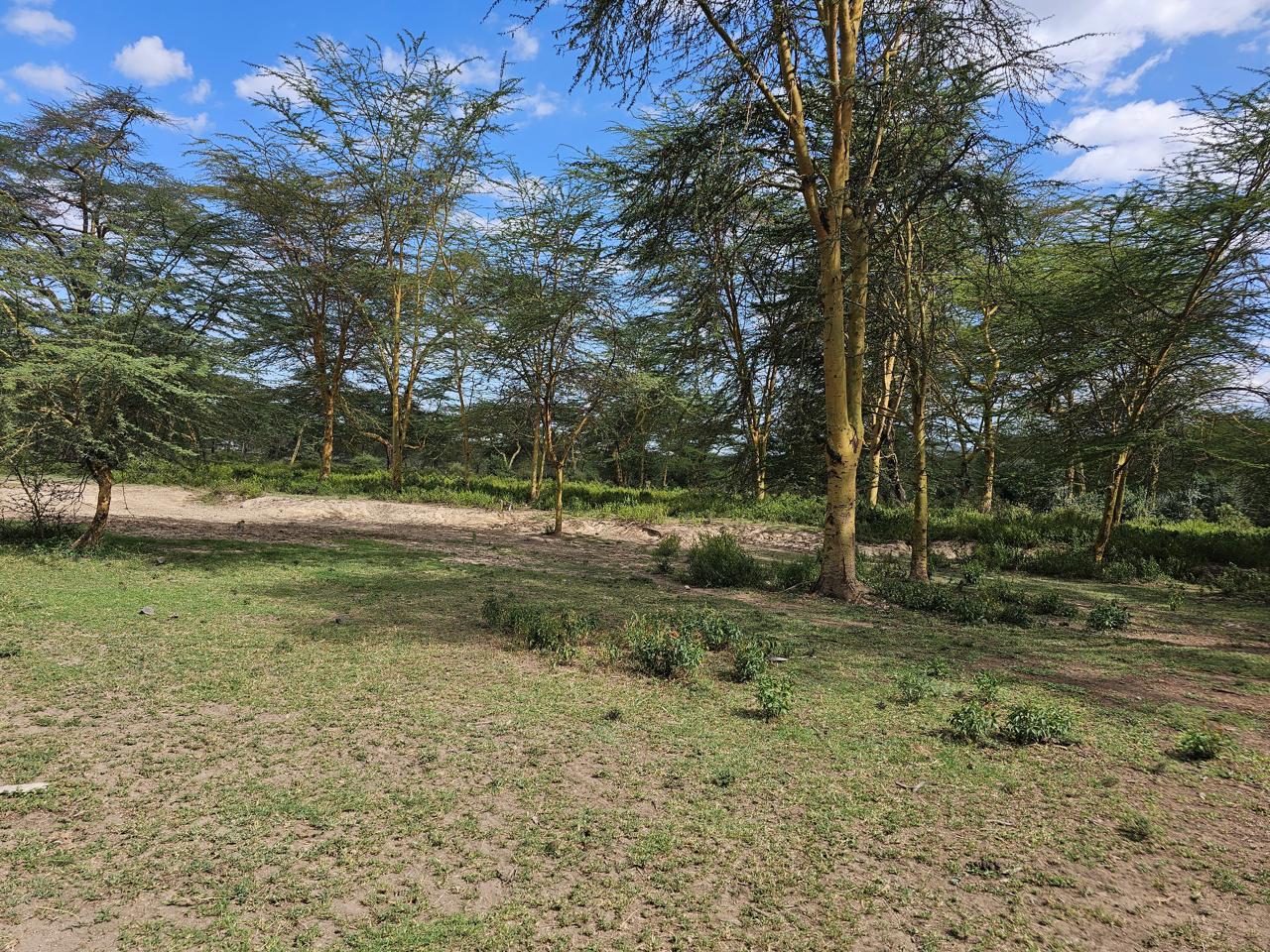 Prime 2-acre land near Lake Elementaita adjacent to Inka Gardens and developed cottages, ideal for lodge or eco-camp investment.