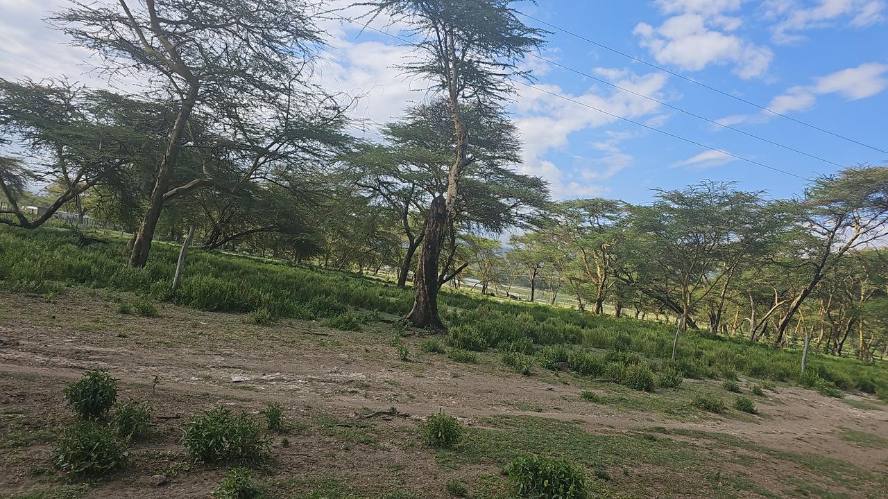 Prime 2-acre land near Lake Elementaita adjacent to Inka Gardens and developed cottages, ideal for lodge or eco-camp investment.