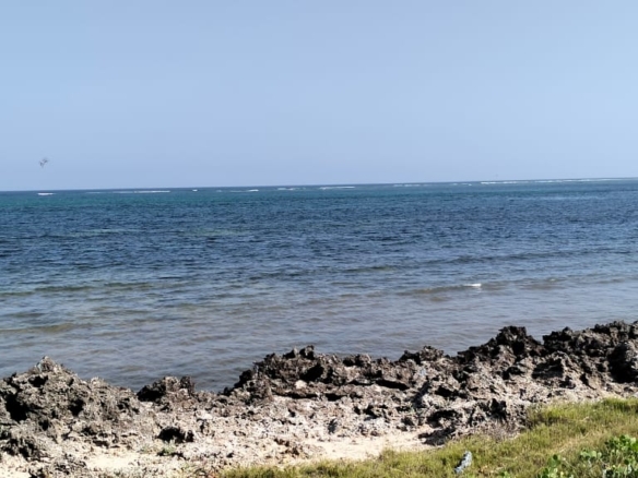Luxury 1-acre beachfront land for sale in Mayungu along the Malindi–Watamu coast, ideal for investment or development.