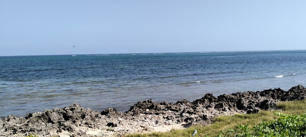 Luxury 1-acre beachfront land for sale in Mayungu along the Malindi–Watamu coast, ideal for investment or development.