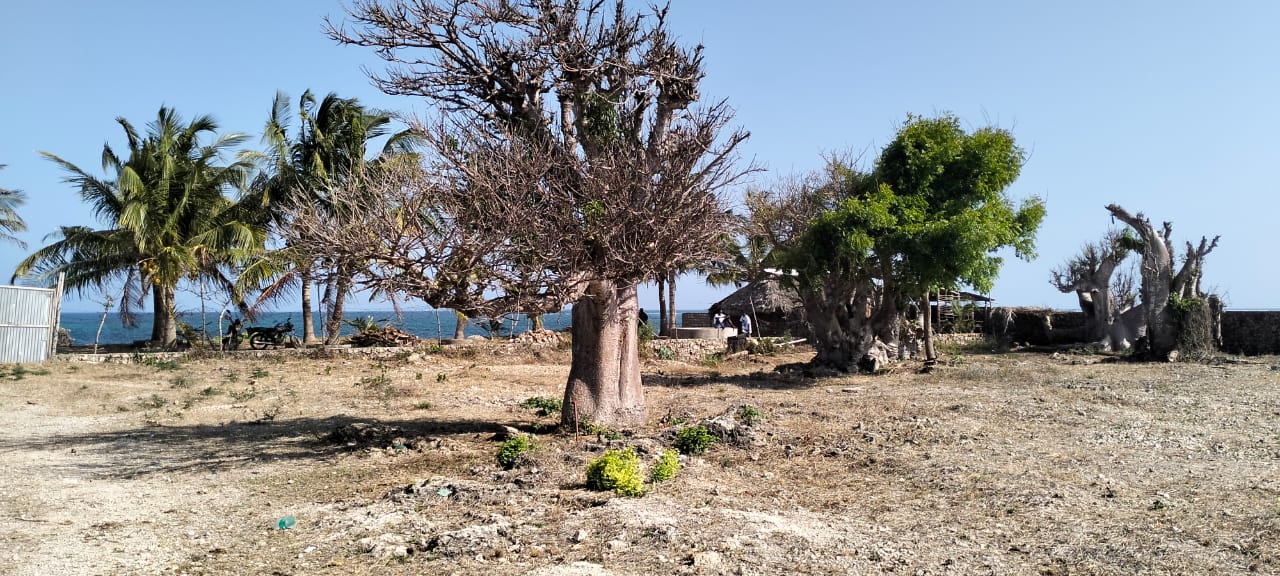 Luxury 1-acre beachfront land for sale in Mayungu along the Malindi–Watamu coast, ideal for investment or development.