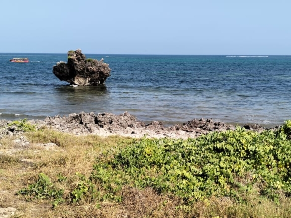 Luxury 1-acre beachfront land for sale in Mayungu along the Malindi–Watamu coast, ideal for investment or development.