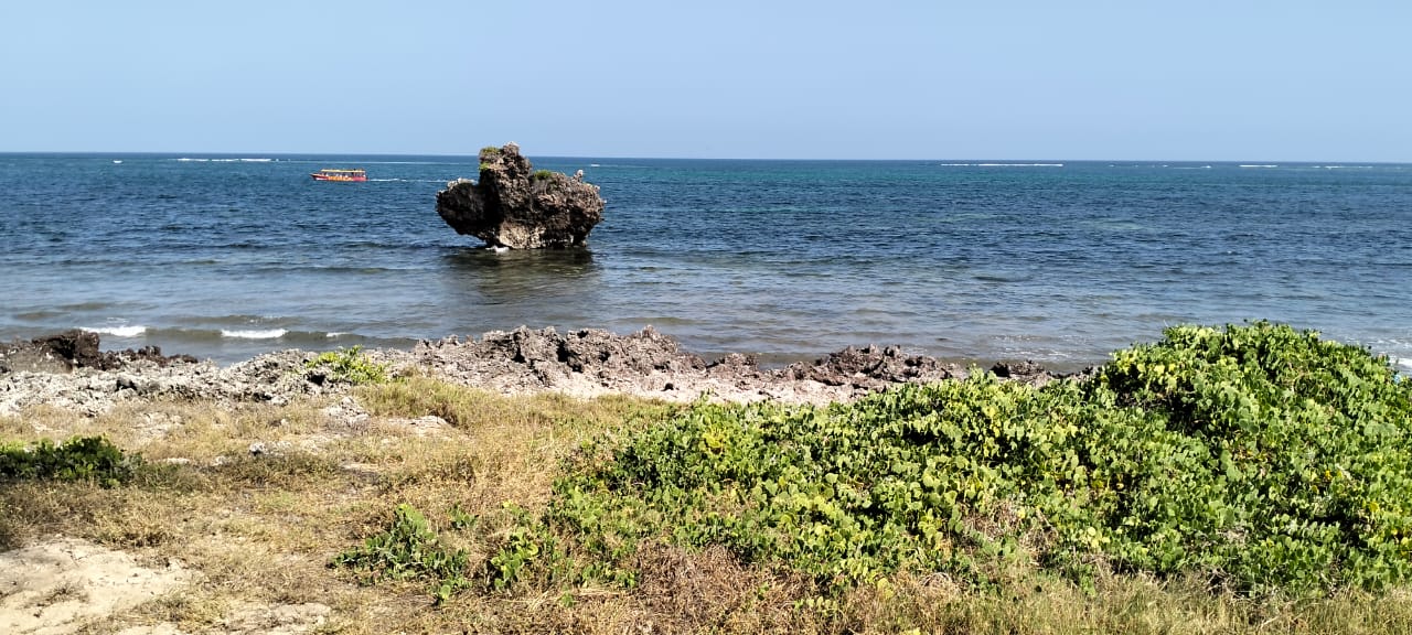 Luxury 1-acre beachfront land for sale in Mayungu along the Malindi–Watamu coast, ideal for investment or development.