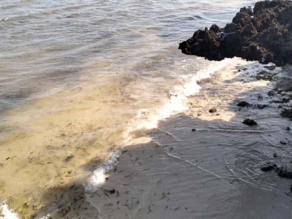 Luxury 1-acre beachfront land for sale in Mayungu along the Malindi–Watamu coast, ideal for investment or development.