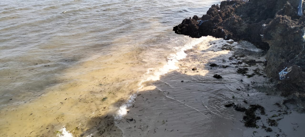 Luxury 1-acre beachfront land for sale in Mayungu along the Malindi–Watamu coast, ideal for investment or development.