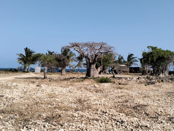 Quarter-acre coral plot for sale in Mayungu, second row and 80 meters from the ocean along the Watamu–Malindi coast.