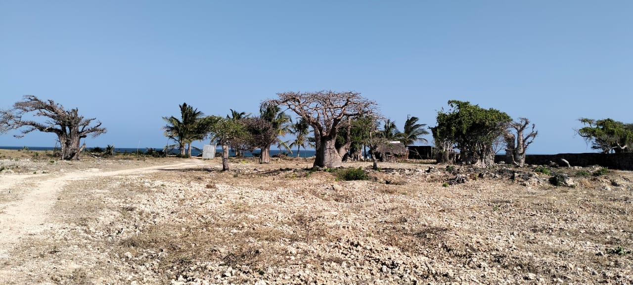 Quarter-acre coral plot for sale in Mayungu, second row and 80 meters from the ocean along the Watamu–Malindi coast.
