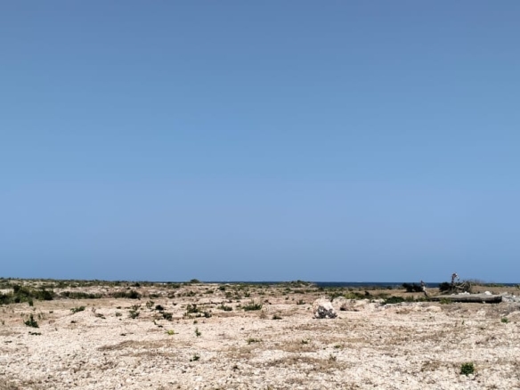 Quarter-acre coral plot for sale in Mayungu, second row and 80 meters from the ocean along the Watamu–Malindi coast.