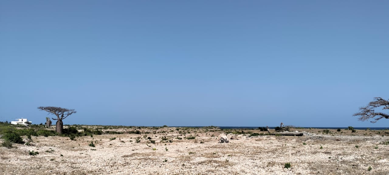Quarter-acre coral plot for sale in Mayungu, second row and 80 meters from the ocean along the Watamu–Malindi coast.