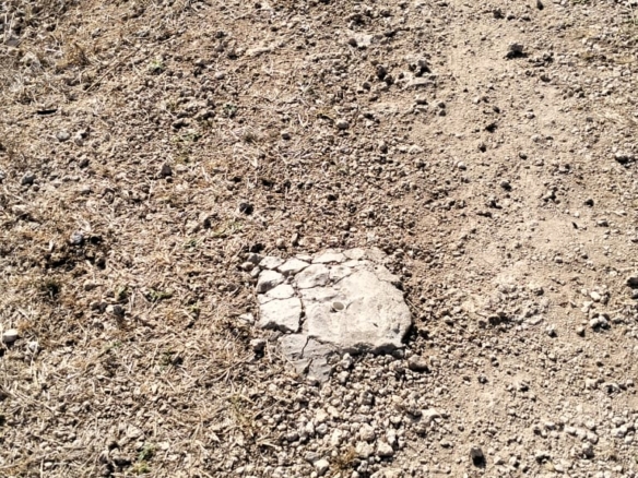 Quarter-acre coral plot for sale in Mayungu, second row and 80 meters from the ocean along the Watamu–Malindi coast.