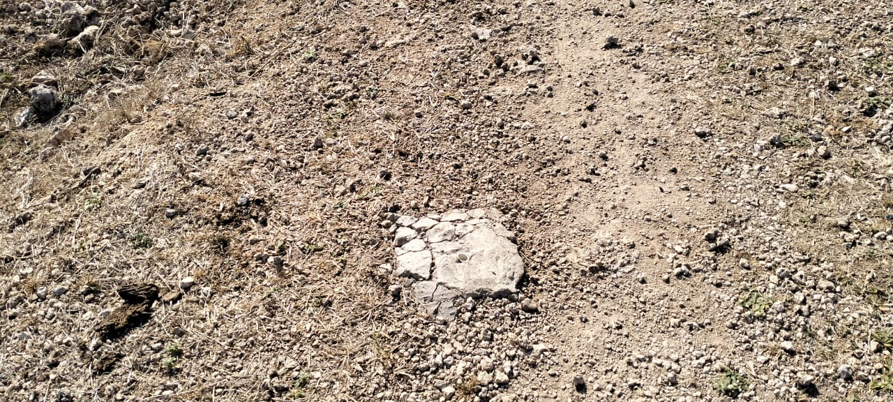 Quarter-acre coral plot for sale in Mayungu, second row and 80 meters from the ocean along the Watamu–Malindi coast.