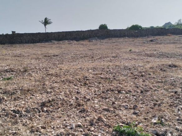 Quarter-acre coral plot for sale in Mayungu, second row and 80 meters from the ocean along the Watamu–Malindi coast.