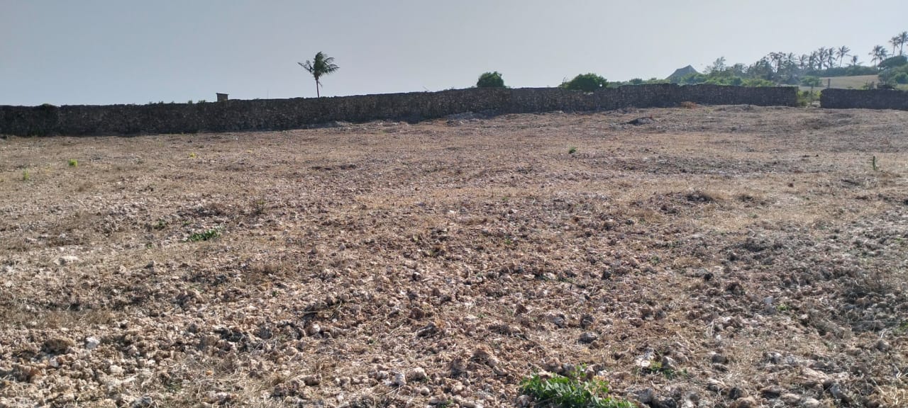 Quarter-acre coral plot for sale in Mayungu, second row and 80 meters from the ocean along the Watamu–Malindi coast.