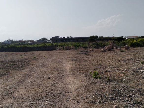 Quarter-acre coral plot for sale in Mayungu, second row and 80 meters from the ocean along the Watamu–Malindi coast.