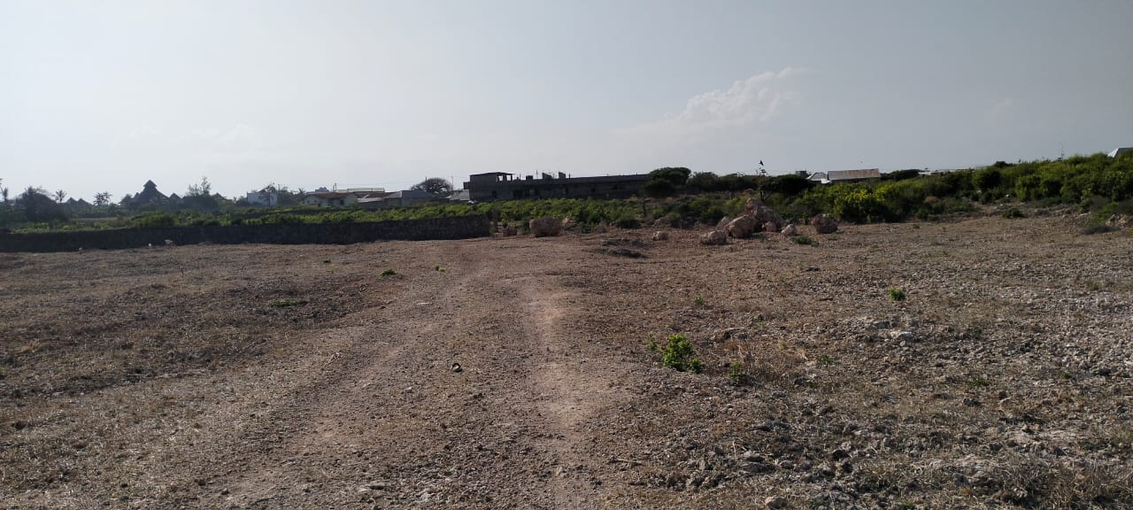 Quarter-acre coral plot for sale in Mayungu, second row and 80 meters from the ocean along the Watamu–Malindi coast.
