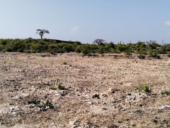Quarter-acre coral plot for sale in Mayungu, second row and 80 meters from the ocean along the Watamu–Malindi coast.