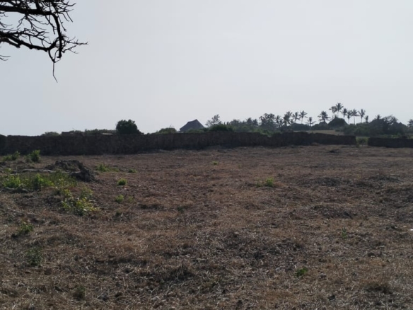 Quarter-acre coral plot for sale in Mayungu, second row and 80 meters from the ocean along the Watamu–Malindi coast.