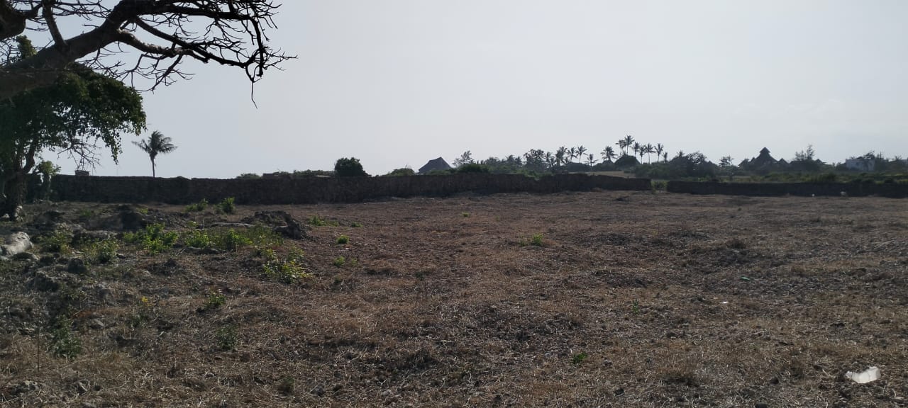 Quarter-acre coral plot for sale in Mayungu, second row and 80 meters from the ocean along the Watamu–Malindi coast.