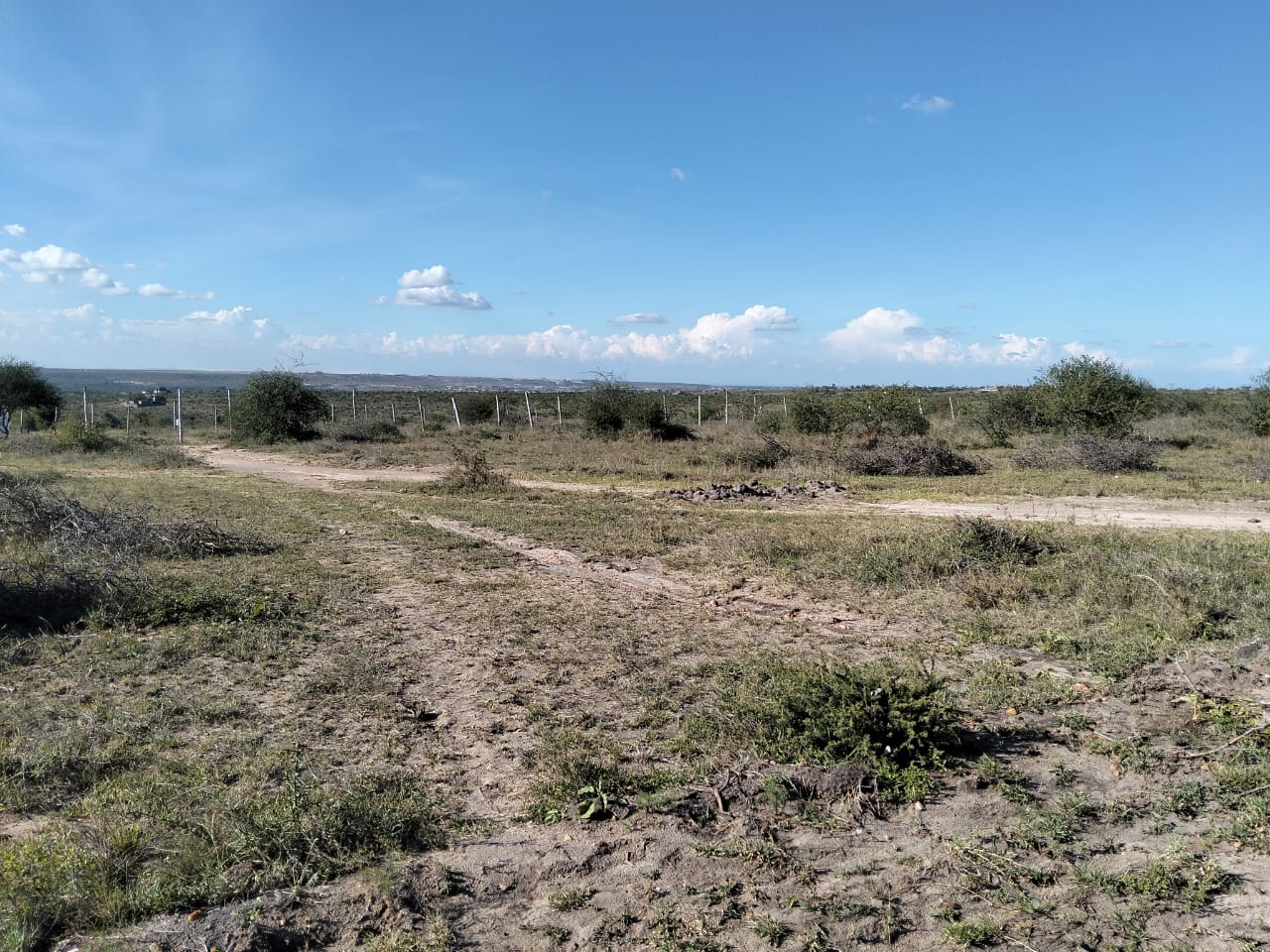 30 acres of prime land for sale at Daystar Athi River, Machakos County, priced at 6.8 million per acre, ideal for investment and development.