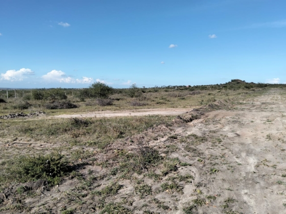 30 acres of prime land for sale at Daystar Athi River, Machakos County, priced at 6.8 million per acre, ideal for investment and development.