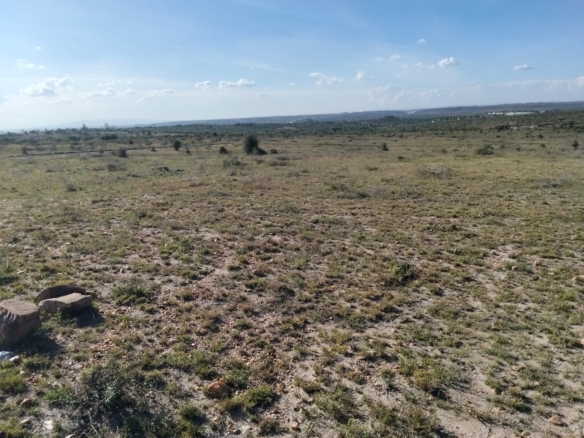 ¼ acre prime residential plot for sale in Lukenya, Machakos County, priced at Kshs 4 million, ideal for home construction or investment.