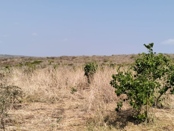 10-acre agricultural land with farmhouse and water tanks for sale in Shomela Marafa, Kilifi County.