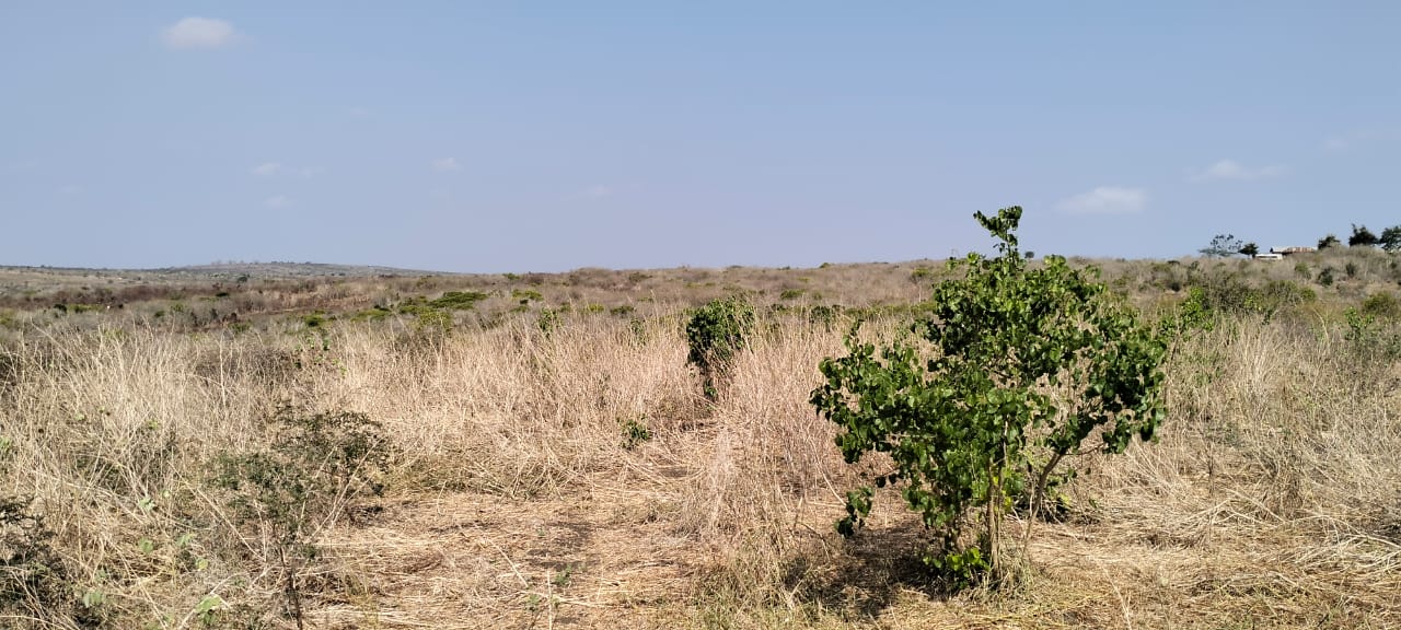 10-acre agricultural land with farmhouse and water tanks for sale in Shomela Marafa, Kilifi County.