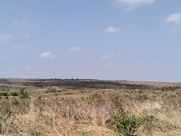 10-acre agricultural land with farmhouse and water tanks for sale in Shomela Marafa, Kilifi County.