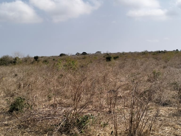 10-acre agricultural land with farmhouse and water tanks for sale in Shomela Marafa, Kilifi County.