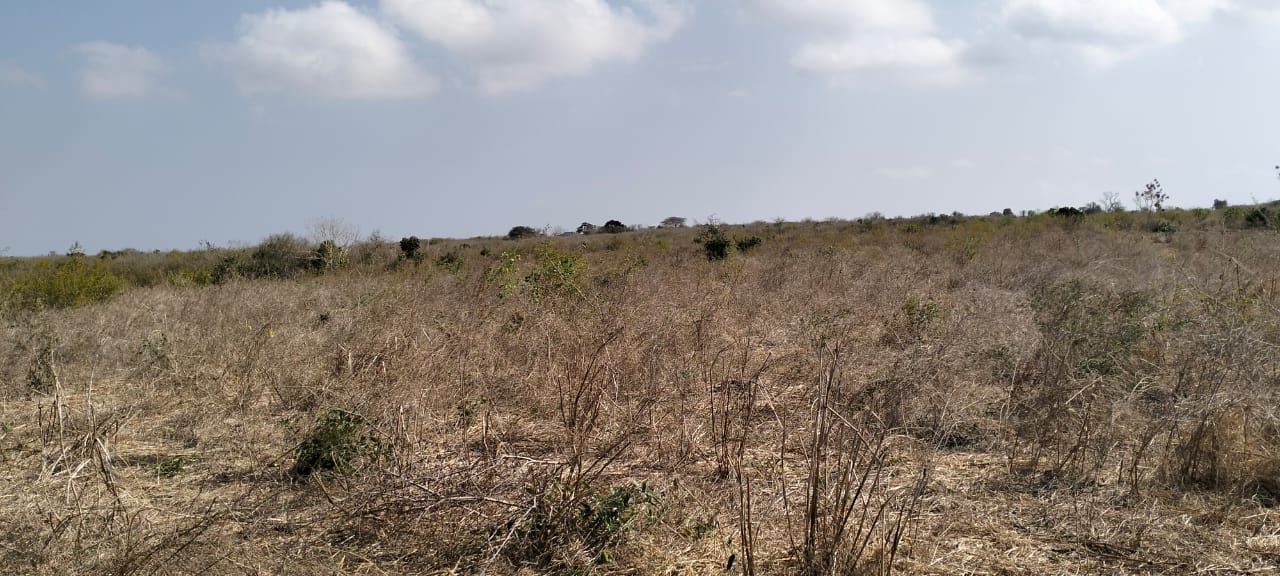 10-acre agricultural land with farmhouse and water tanks for sale in Shomela Marafa, Kilifi County.