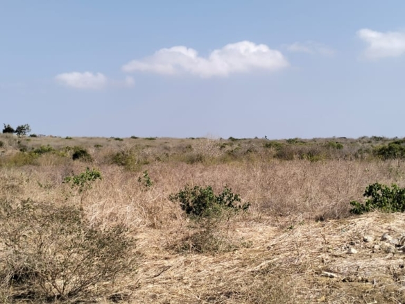 10-acre agricultural land with farmhouse and water tanks for sale in Shomela Marafa, Kilifi County.
