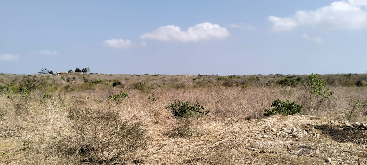 10-acre agricultural land with farmhouse and water tanks for sale in Shomela Marafa, Kilifi County.