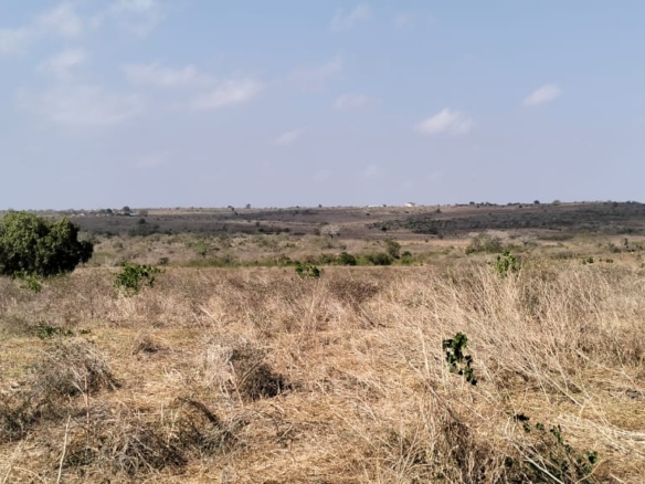 10-acre agricultural land with farmhouse and water tanks for sale in Shomela Marafa, Kilifi County.