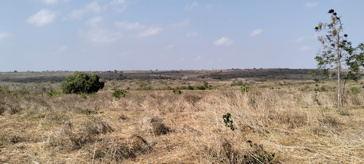 10-acre agricultural land with farmhouse and water tanks for sale in Shomela Marafa, Kilifi County.