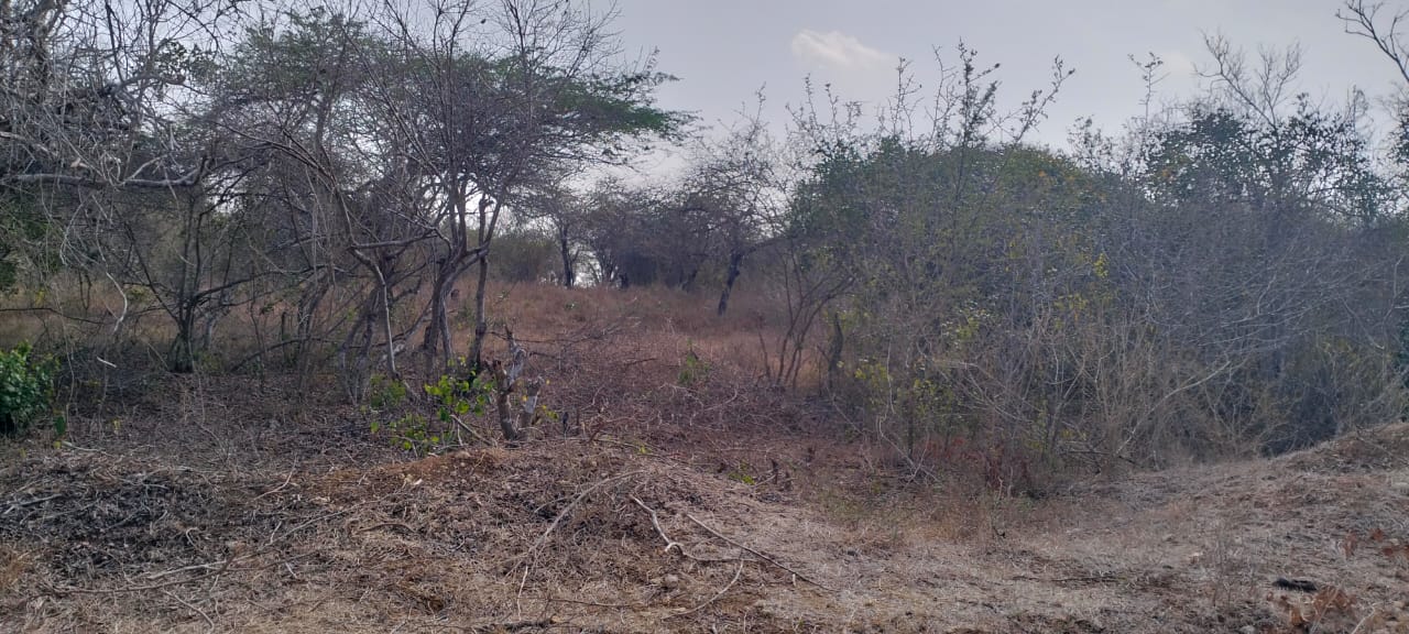 22 acres of prime roadfront land for sale in Shomela Magarini along Malindi Marafa Road.