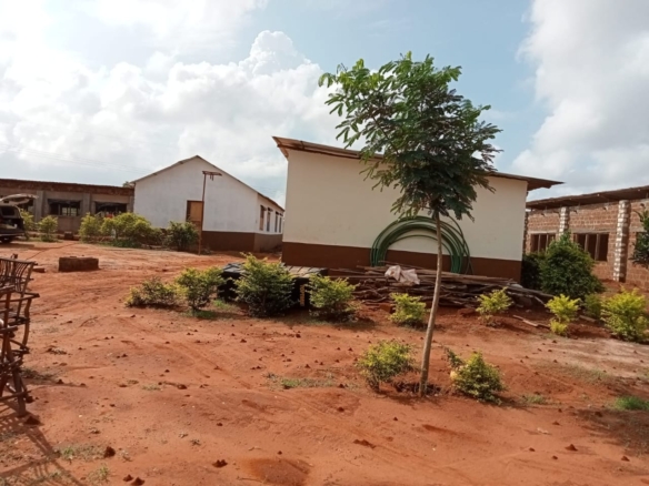 Poultry Farm in Baolala For Sale on 2.4 Acres